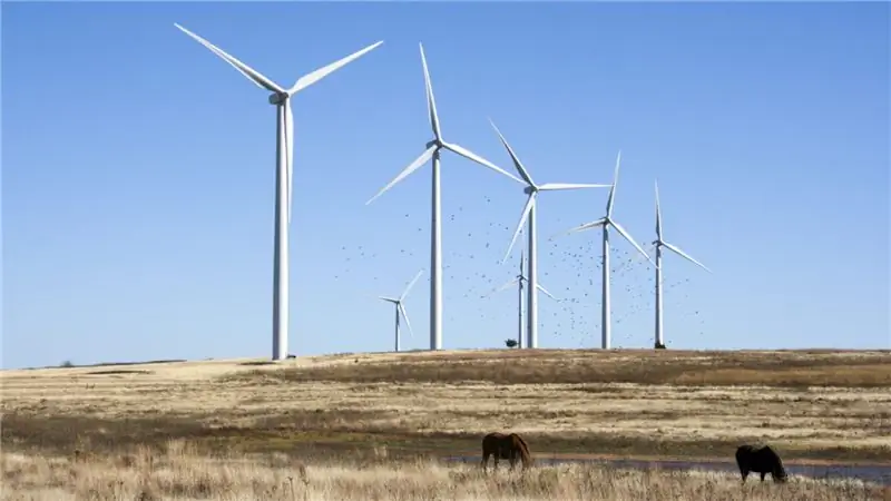 Может ли один из самых красных штатов Америки стать следующей зеленой криптовалютной столицей?