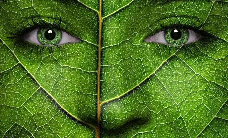 Женщины и климат