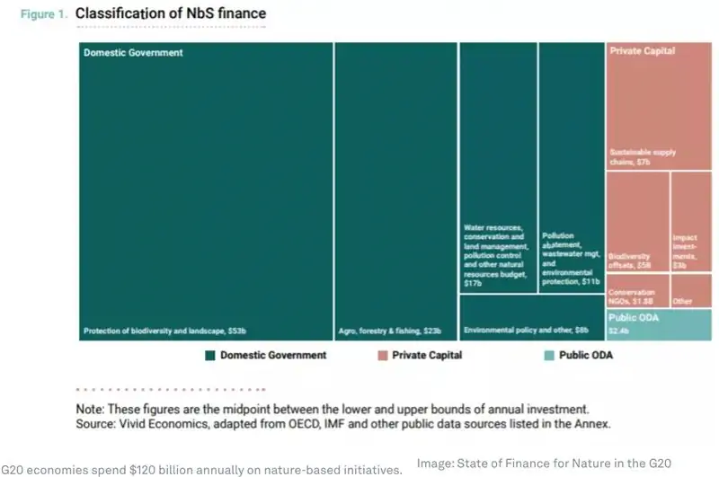 Страны G20 ежегодно тратят 120 миллиардов долларов на природоохранные инициативы. (Источник: Состояние финансов для природы в G20)