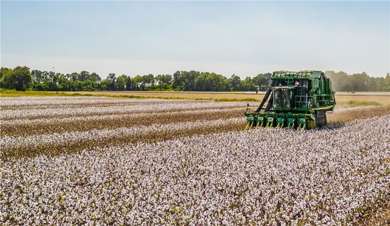 Как блокчейн может защитить мелких фермеров от климатических рисков