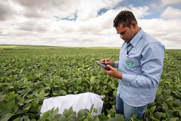 Увеличение прибыли за счет устойчивого развития