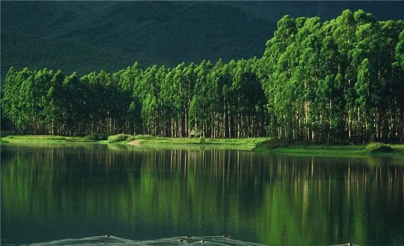 биоразнообразие