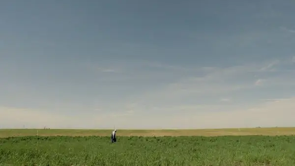 Пейзажная картина зеленого поля фермы и голубого неба.