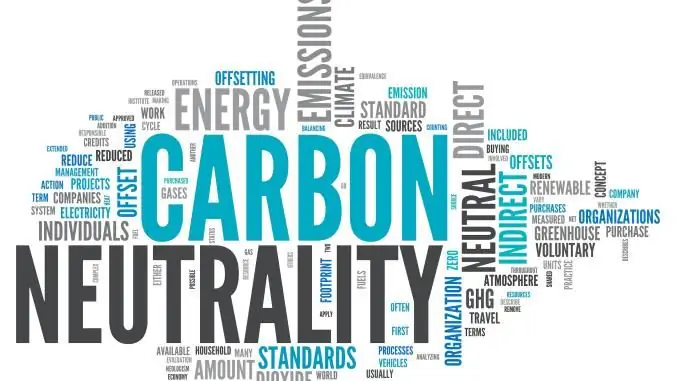 Все больше компаний раскрывают информацию о своем лесном следе