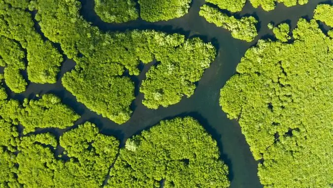 Важнейший отчет взвешивает «рискованный бизнес» бездействия в области климата