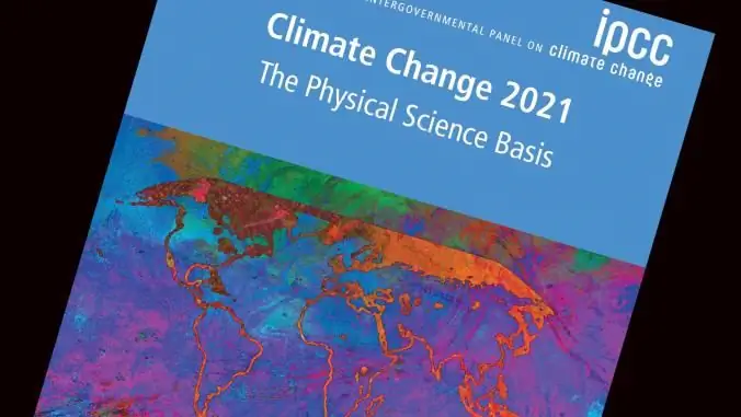 У вас есть устойчивый бренд?