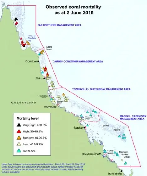 Наблюдаемая смертность кораллов