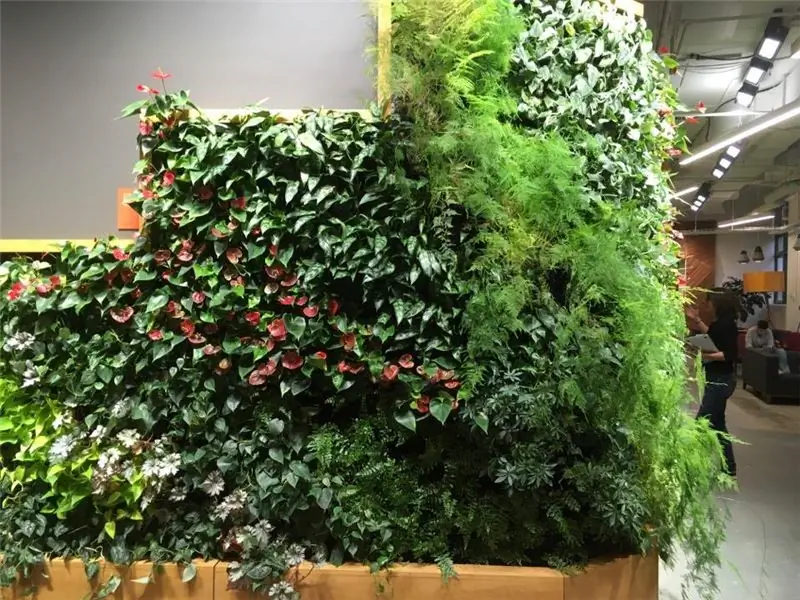 Внутренний сад на стене