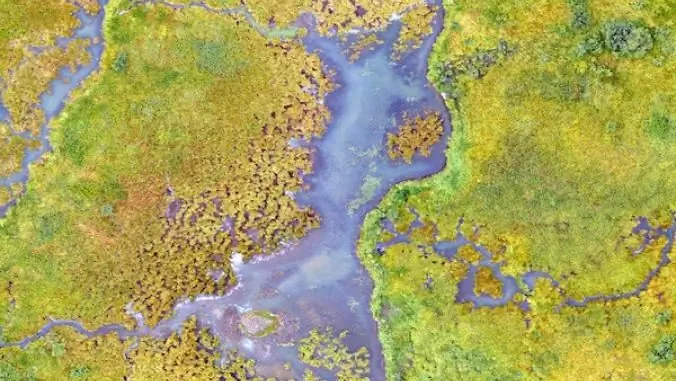 Транспортная революция: когда научная фантастика становится бизнес-реальностью