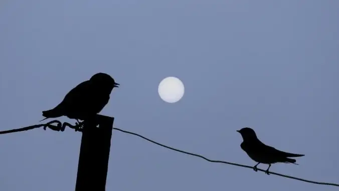 Добро пожаловать в экономику Кризалис