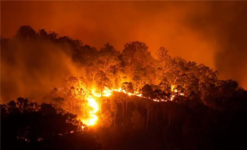 лесной пожар