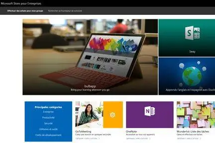 Microsoft-магазин-предприятия