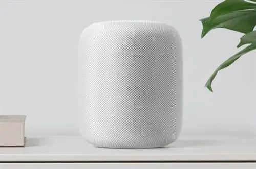 Подключенные динамики: Apple спотыкается о HomePod
