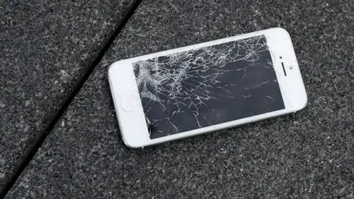 Apple: просочившееся руководство по поддержке SAV