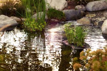 Инструкция по строительству пруда