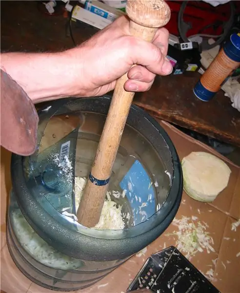 Летучая мышь Летучая мышь
