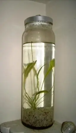 Ikea Aquascape по дешевке $ 12 Ikea Aquascape по дешевке $ 12