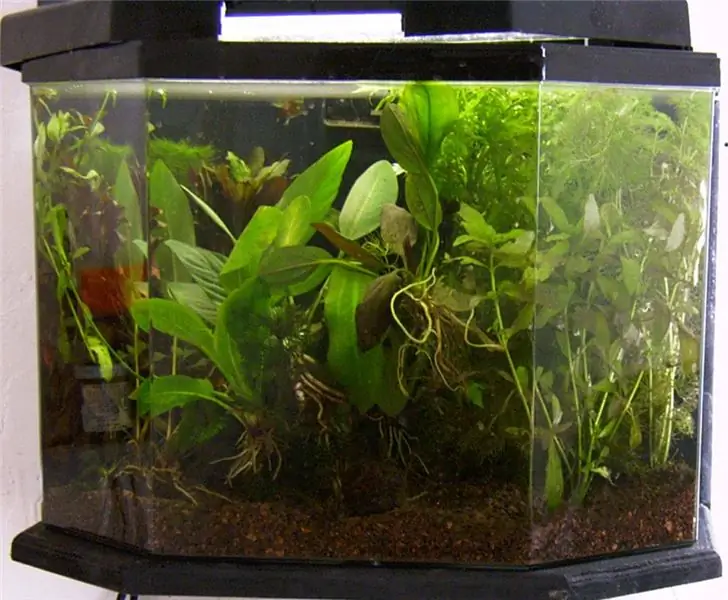 Ikea Aquascape по дешевке 12 долларов Ikea Aquascape по дешевке 12 долларов