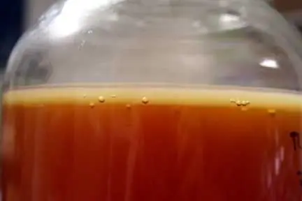 Выращивание чайного напитка…