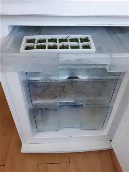 Заморозить Заморозить