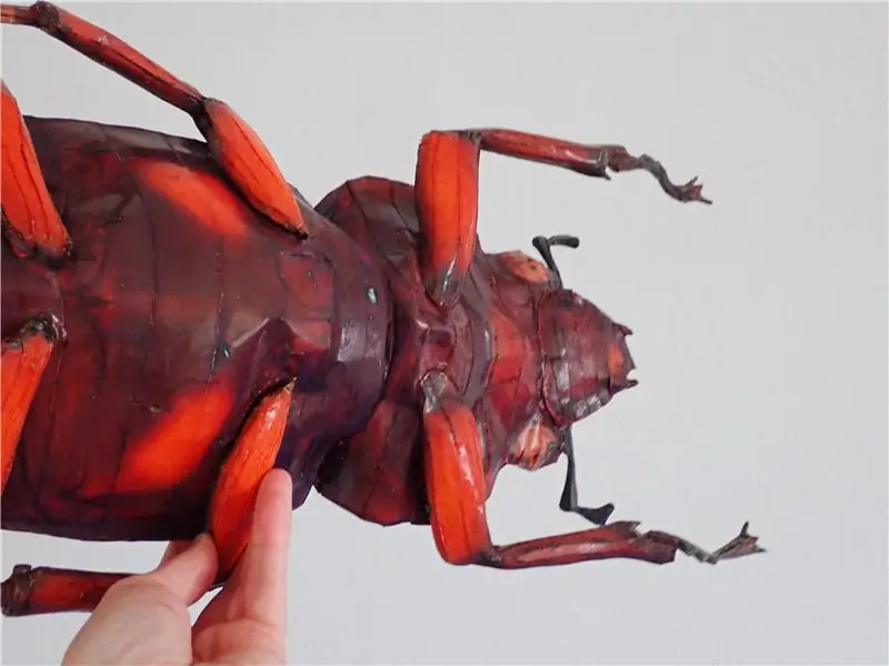 Создайте точную бумажную модель животного