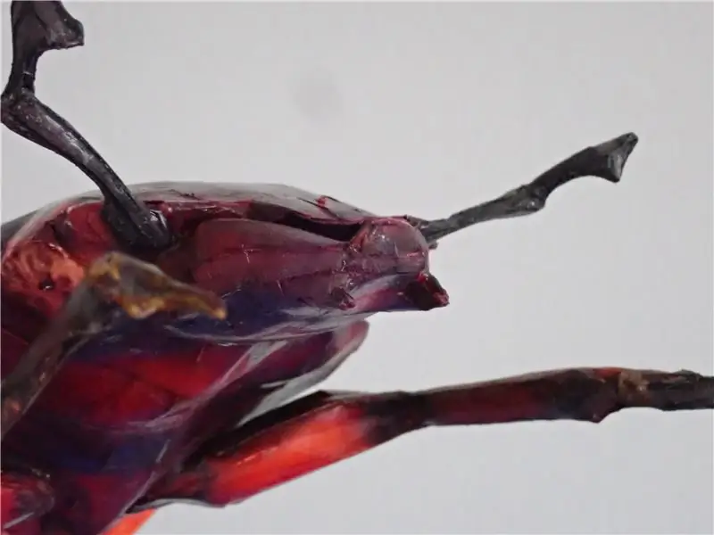 Создайте точную бумажную модель животного