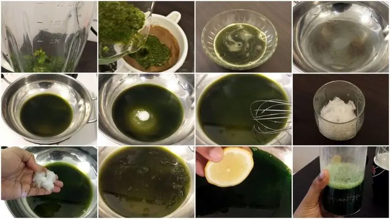 Изготовление Chervil Gelée