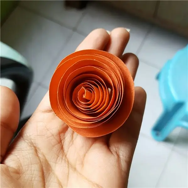 Красочные цветы