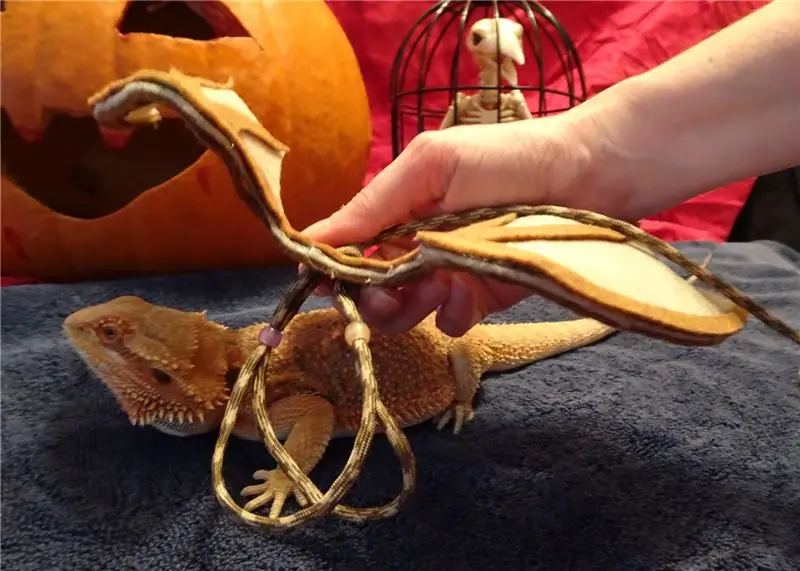 Надеваем крылья на дракона