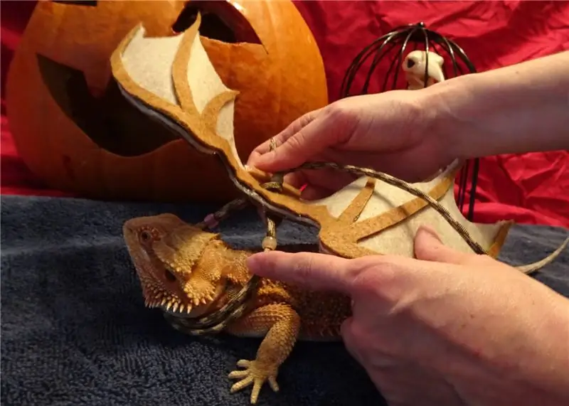 Надеваем крылья на дракона