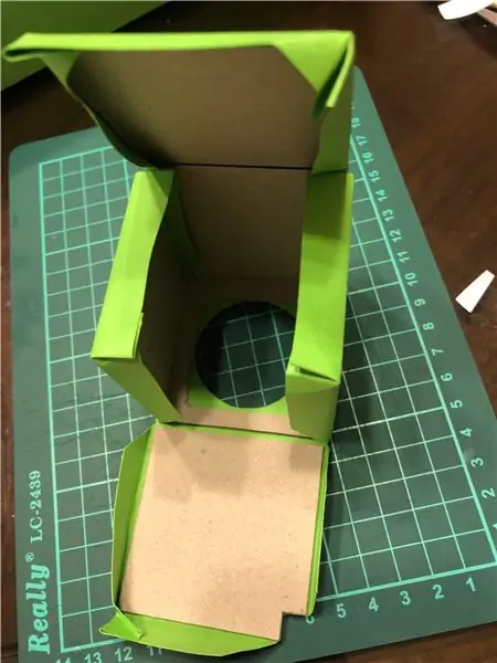 Формирование глаза