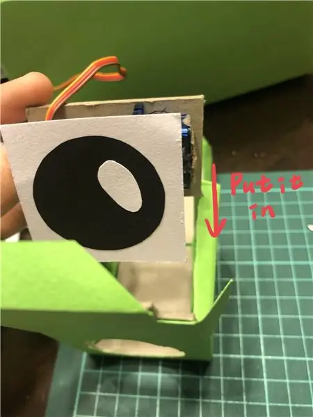 Формирование глазного яблока