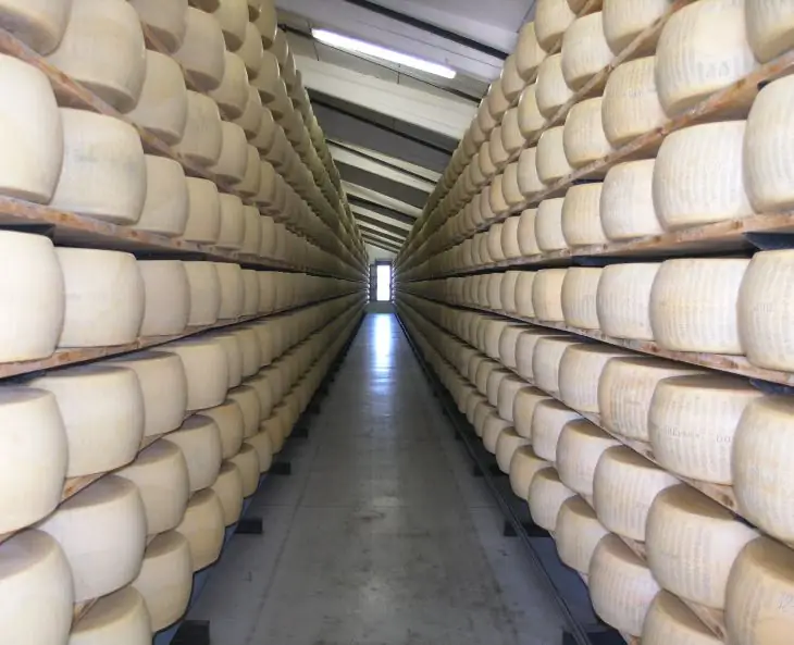 Где мне хранить сыр?