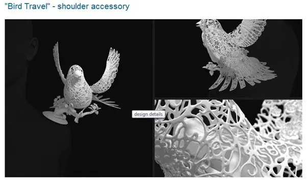 Bird Travel Создано Linlin & Pierre-Yves Jacques