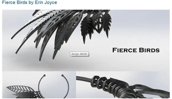 Свирепые птицы Эрин Джойс