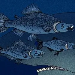 Сканируйте свои кости, чтобы увеличить продолжительность жизни
