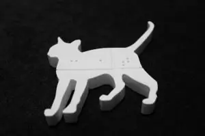 Подтянутая кошка