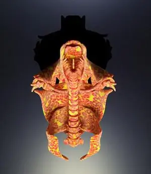 Кафка 3D-печать Нери Оксман Кафка 3D-печать Нери Оксман