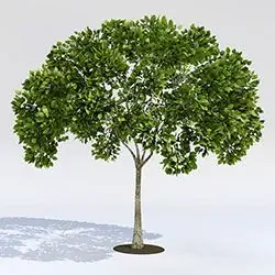 Распечатанные на 3D-принтере деревья от НАСА
