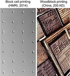3D-печать блочными ячейками Печать на дереве 3D-печать блочными ячейками Печать на дереве