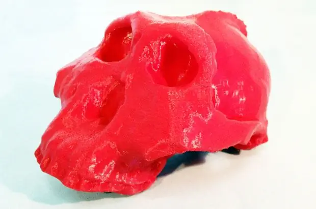 Окаменелость 3D-печати paranthropusboisei Окаменелость 3D-печати paranthropusboisei