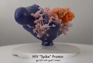 NIH 3D Print Exchange Медицинские модели для 3D-печати3 NIH 3D Print Exchange Медицинские модели для 3D-печати3