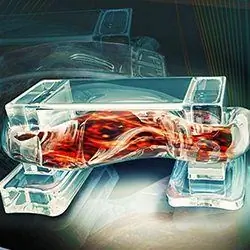 Биоботы, напечатанные на 3D-принтере, используют мышцы мыши для передвижения