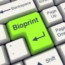 Исследователи 3D Bioprint Сосудистая система