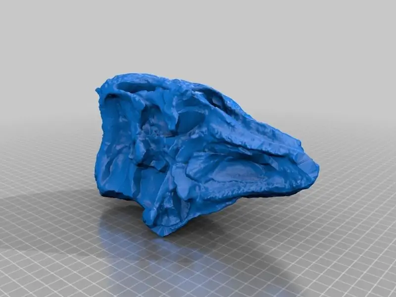 3D-печать 3D-модель T-Rex Skull 3D-печать 3D-модель T-Rex Skull