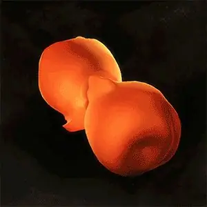 модель туманности 3d печать модель туманности 3d печать