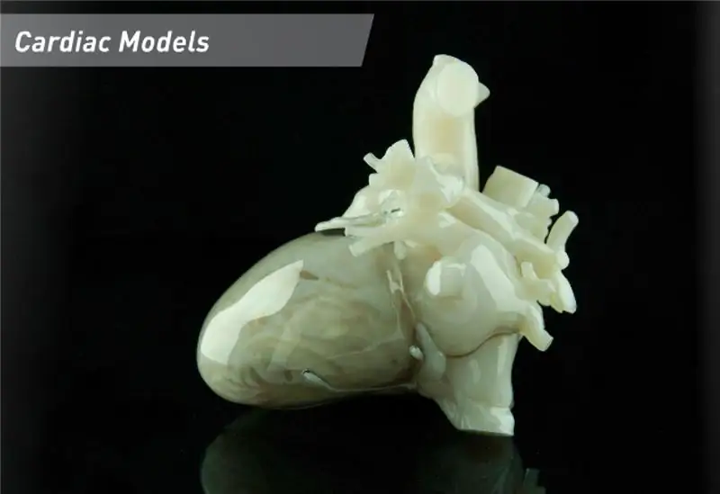 3D печатная модель сердца 3D печатная модель сердца
