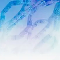 Лаборатория Postech лидирует в области 3D-биопечати