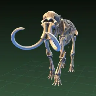 Агентства США откроют площадки для 3D-печати