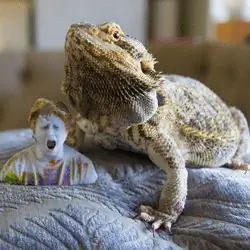 3DPI проверяет датчик структуры